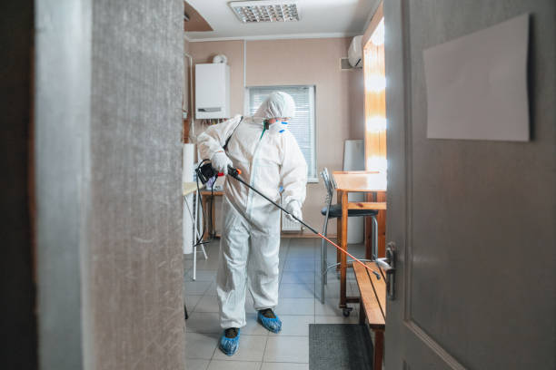 Best Air Quality Testing for Mold Spores  in Day Valley, CA