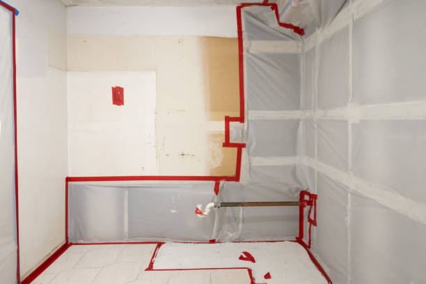 Best Comprehensive Air Testing for Mold Contaminants  in Day Valley, CA