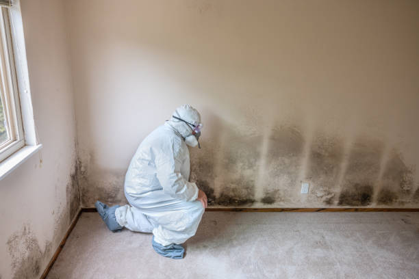 Best HVAC Mold Inspection and Cleaning  in Day Valley, CA
